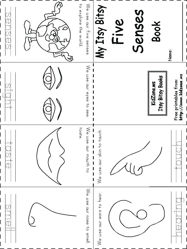 Preschool Free Printable Five Senses Worksheets Jason K Eldredge
