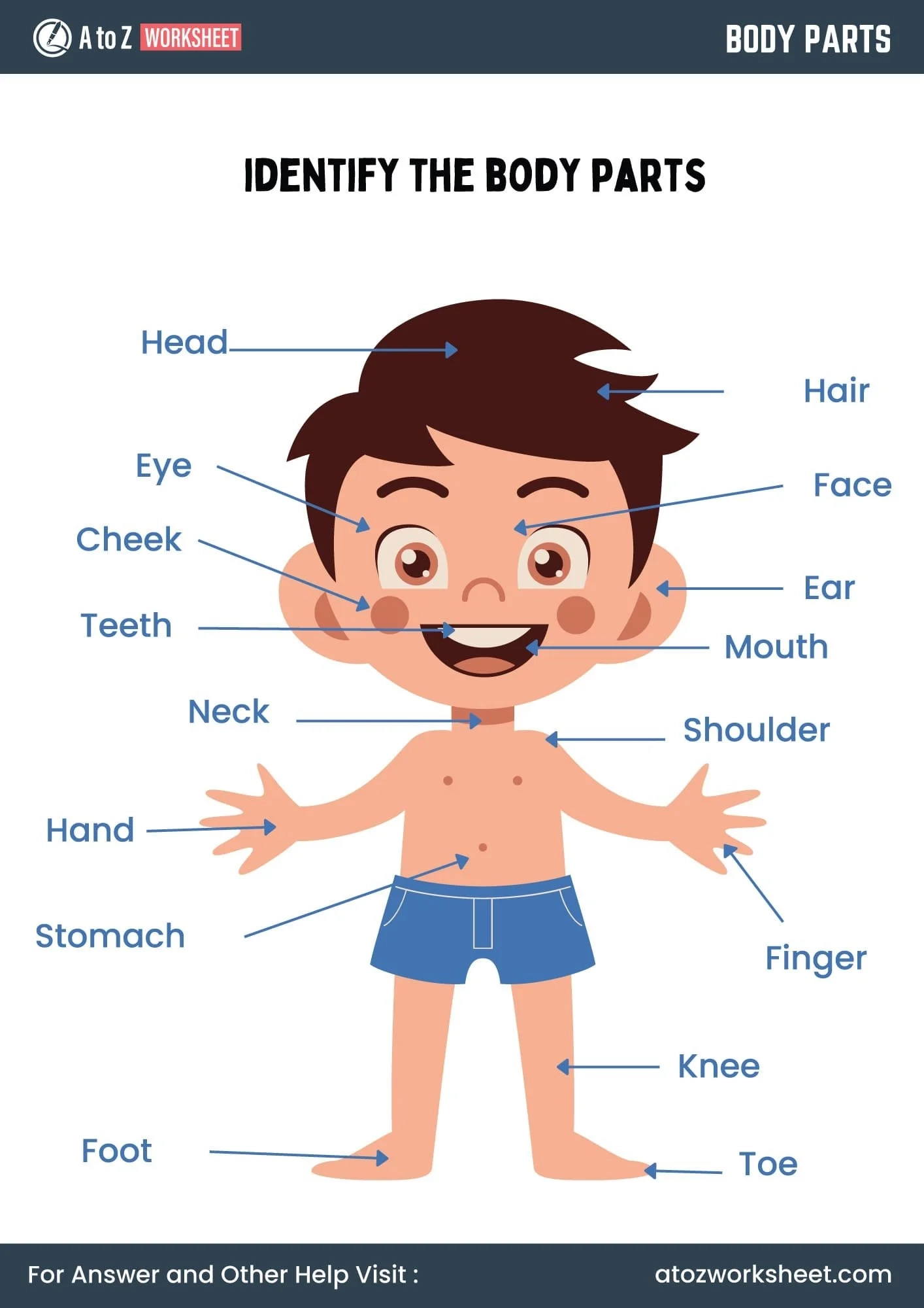 11 Free Printable Body Parts Worksheet For Kindergarten And Class 1 Kids A To Z Worksheet