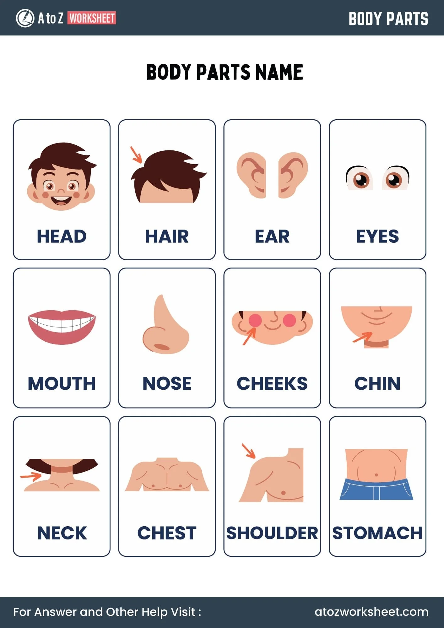 11 Free Printable Body Parts Worksheet For Kindergarten And Class 1 Kids A To Z Worksheet