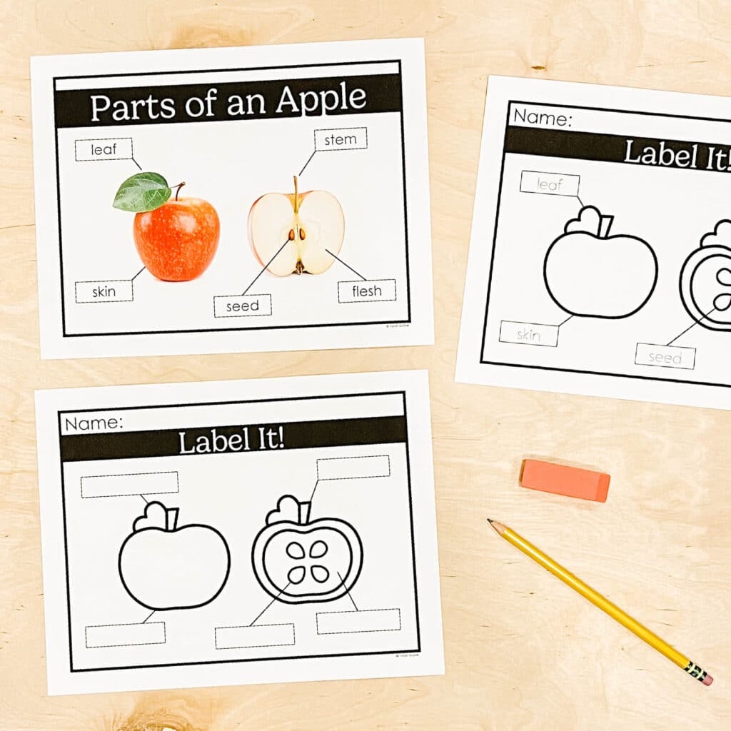 17 Apple Activities For Kindergarten with Freebies 