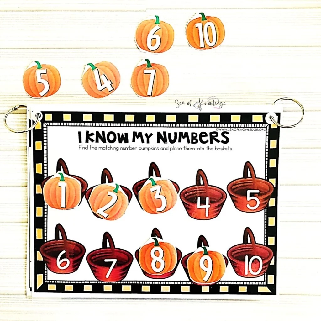 200 Busy Learning Binder Printables For Preschool Kinder Seasonal Mats That Don t Bore
