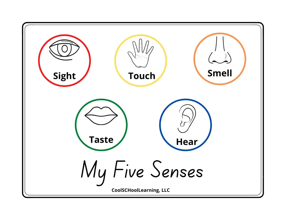 5 Senses Printable Preschool Poster Kindergarten Readiness Kids Playroom Decor Classroom Resources Etsy Hong Kong