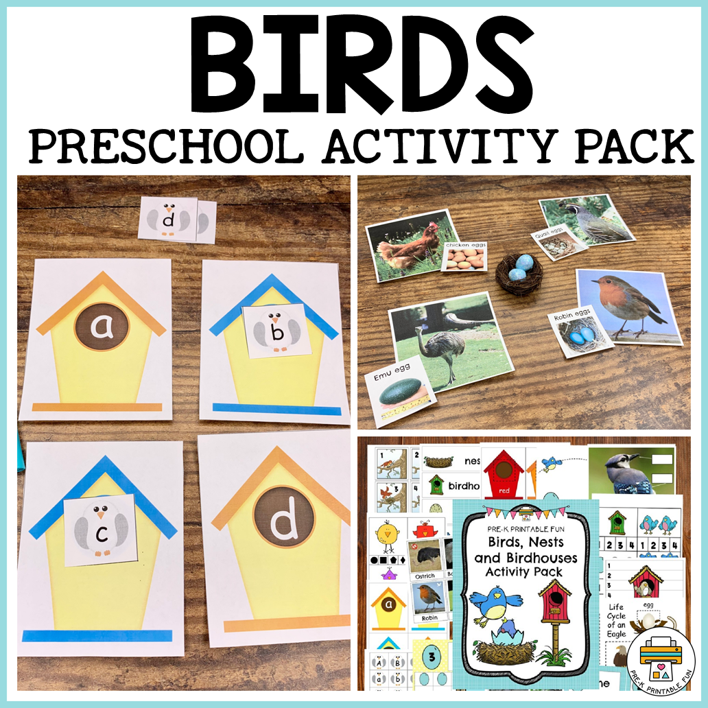 Bird Preschool Activities Pre K Printable Fun Bird Preschool Activities Pre K Printable Fun