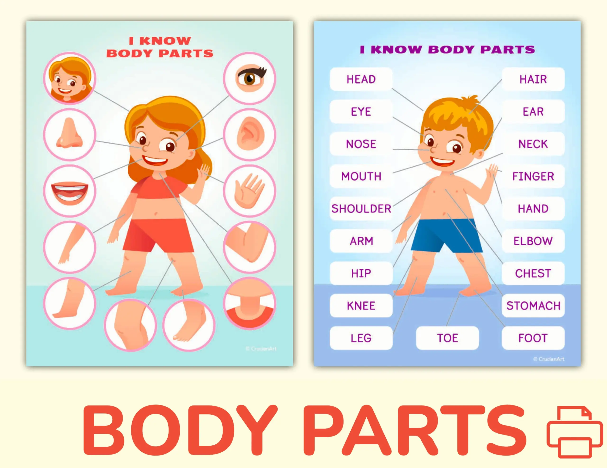 Body And Face Parts Printable Learning Pack For Toddler Preschool Pre K Kindergarten Human Body Activity Worksheets Etsy New Zealand