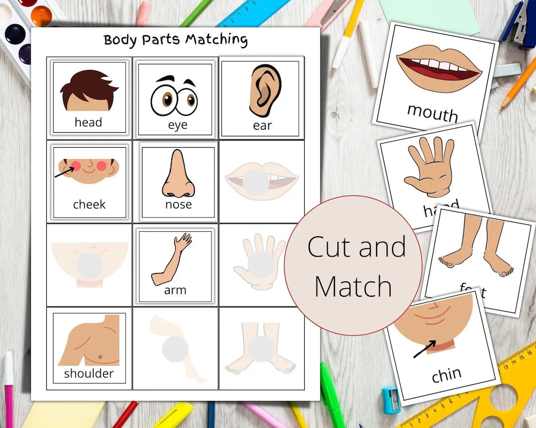 Body Face Parts Montessori Worksheet Cut And Paste Activity digital Files Etsy Body Face Parts Montessori Worksheet Cut And Paste Activity digital Files Etsy