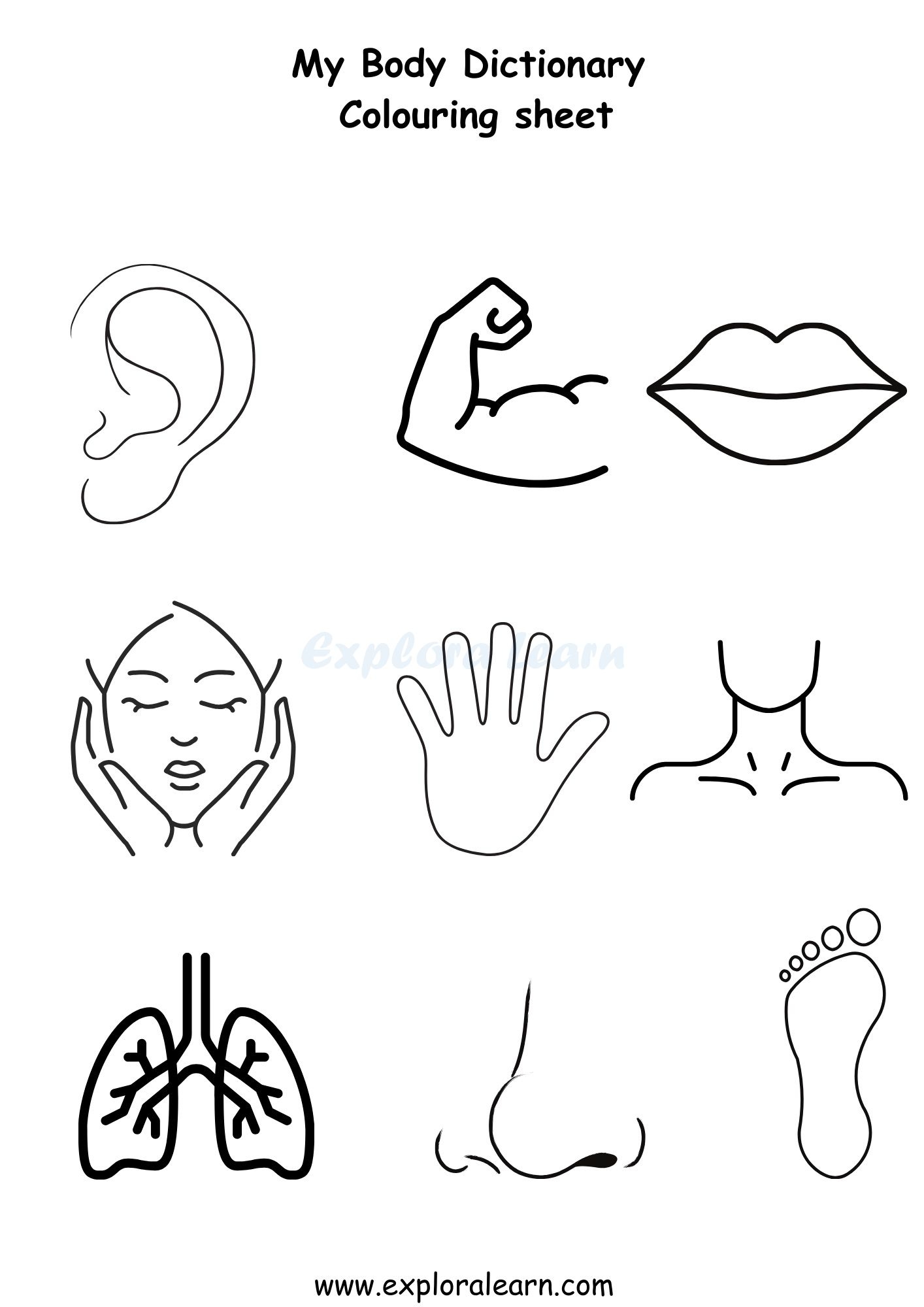 Body Parts