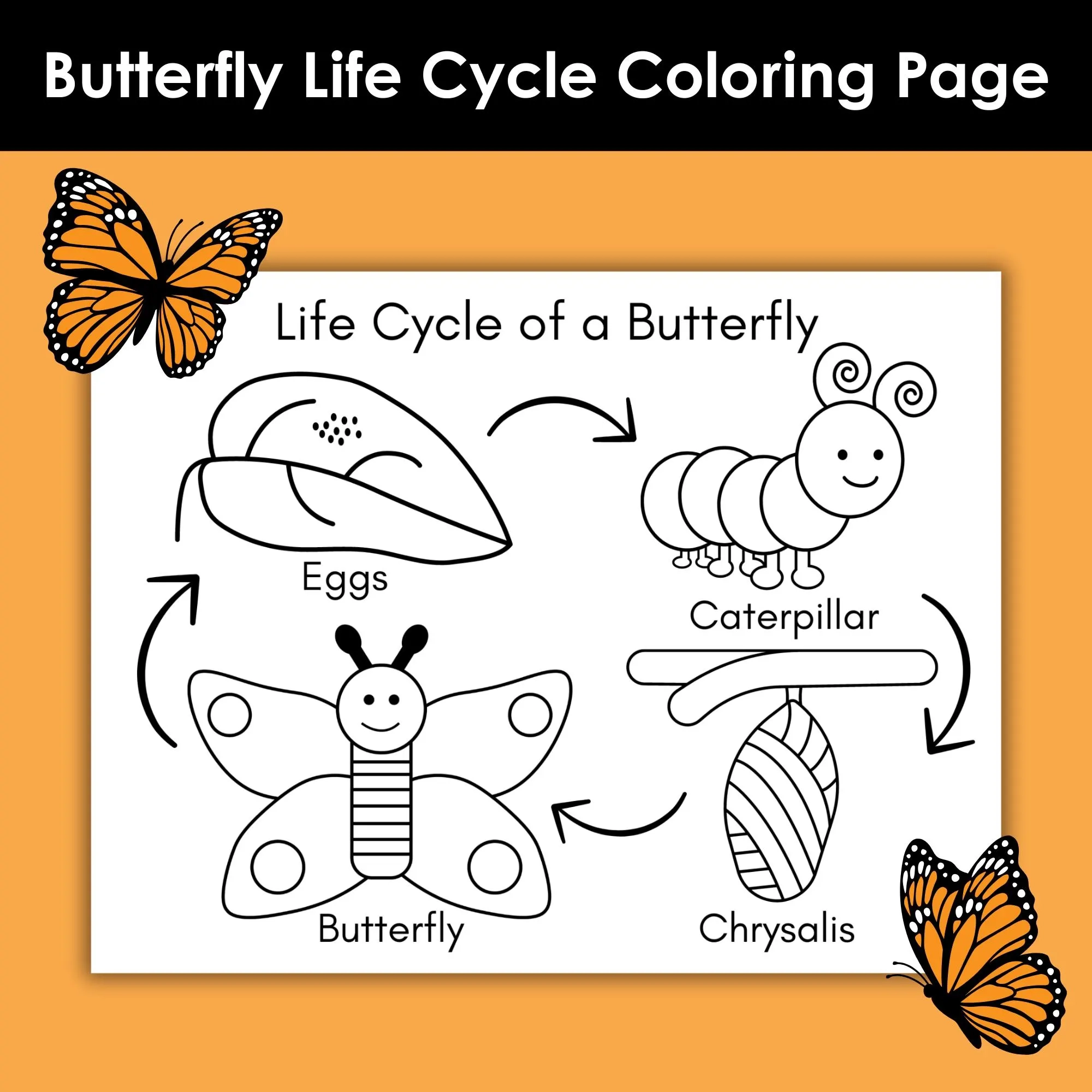 Butterfly Life Cycle Coloring Page Printable Butterfly Worksheet For Kids Preschool Science Activity Homeschool Life Cycle Unit Study Etsy