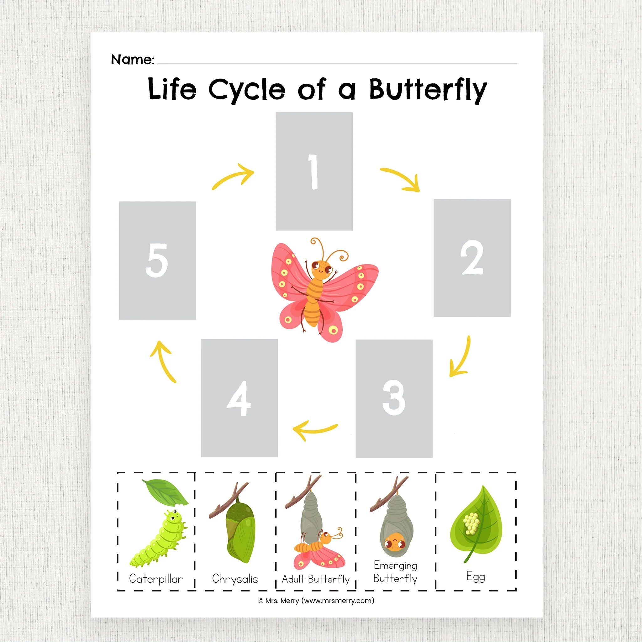 Butterfly Life Cycle For Kids Printable Mrs Merry Butterfly Life Cycle For Kids Printable Mrs Merry