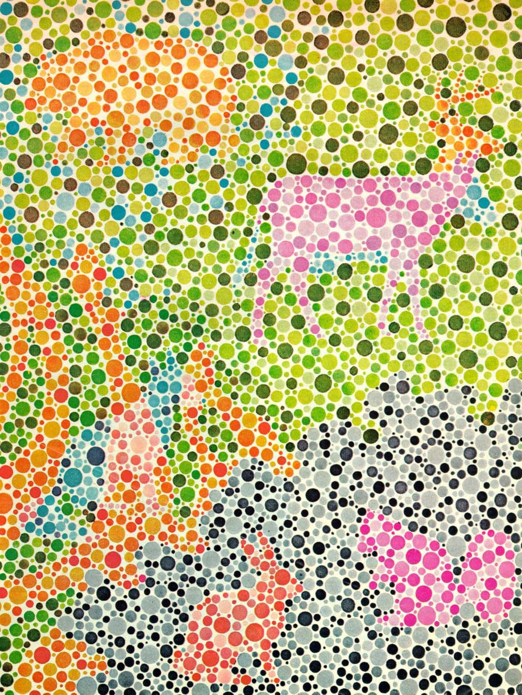 Color Blind Test For Kids