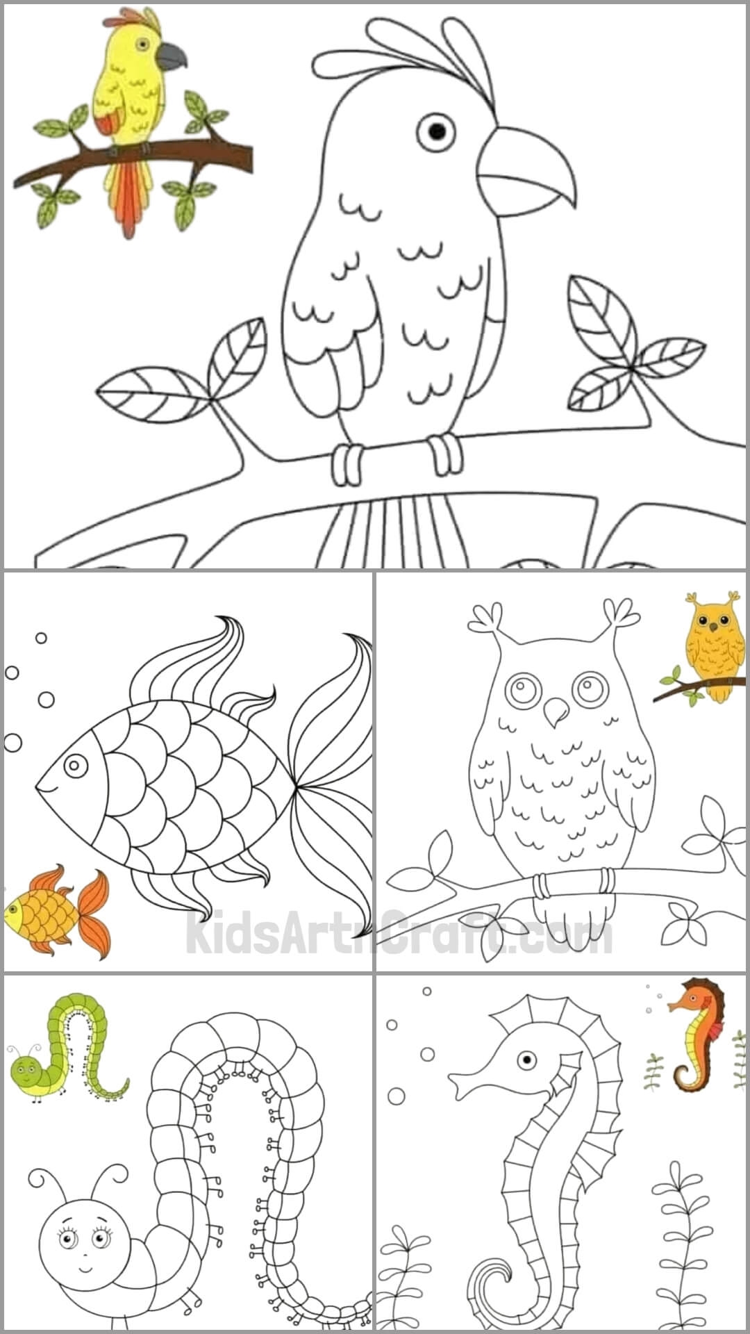 Explore Creativity With Free Printable Coloring Pages For Kids Kids Art Craft Explore Creativity With Free Printable Coloring Pages For Kids Kids Art Craft
