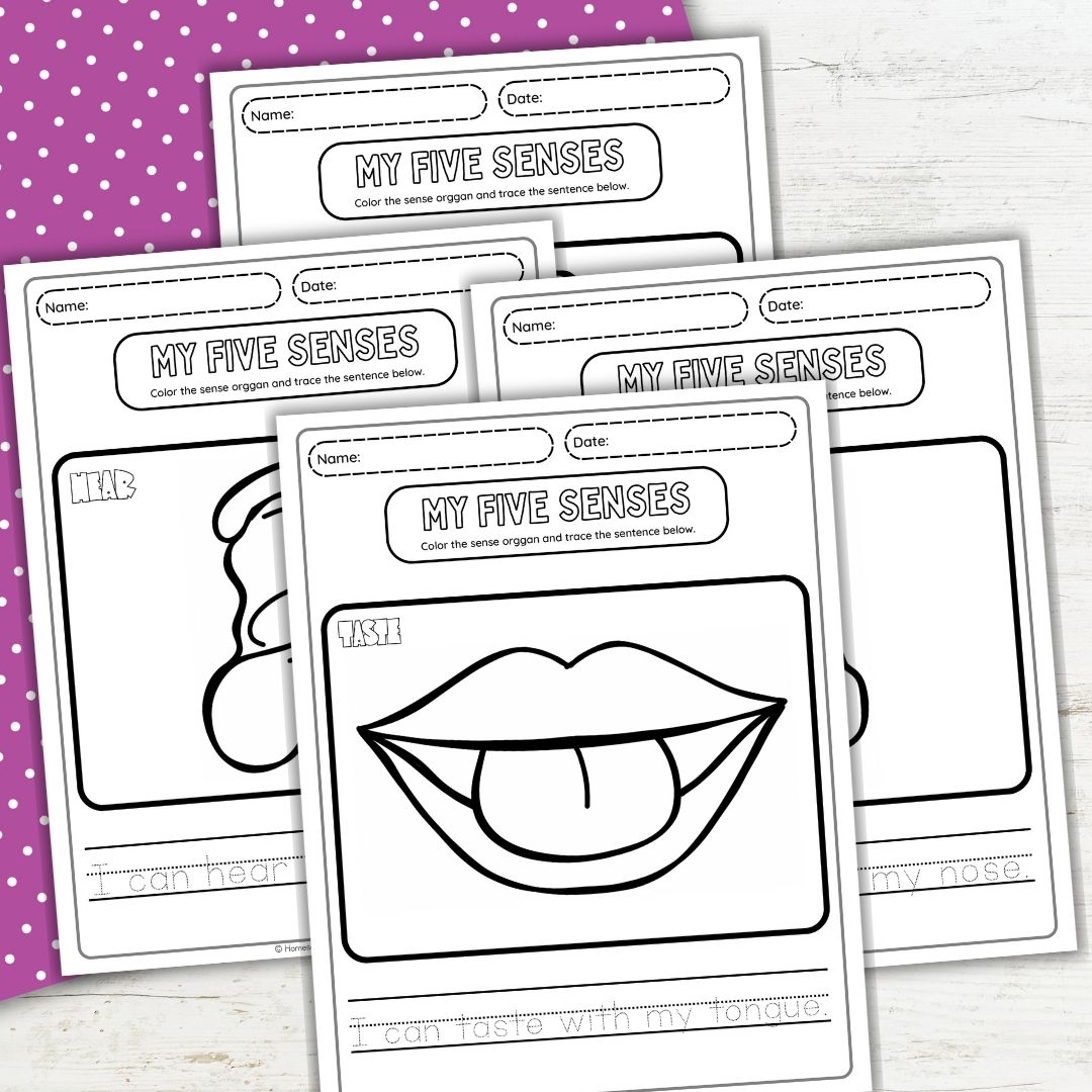 Five Senses Coloring Pages For Preschool Fun Learning