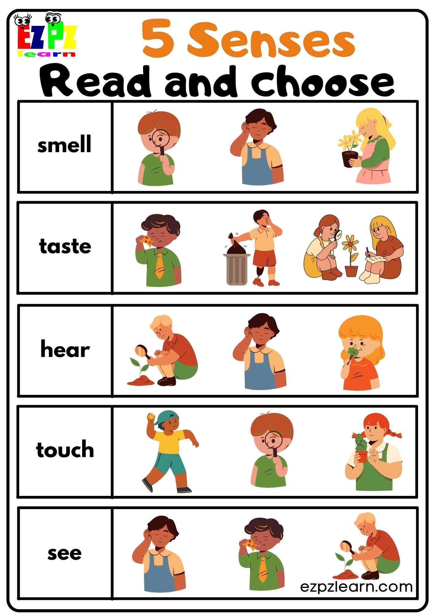 Five Senses Read And Choose Worksheet For Kindergarten And ESL Worksheets Library Five Senses Read And Choose Worksheet For Kindergarten And ESL Worksheets Library