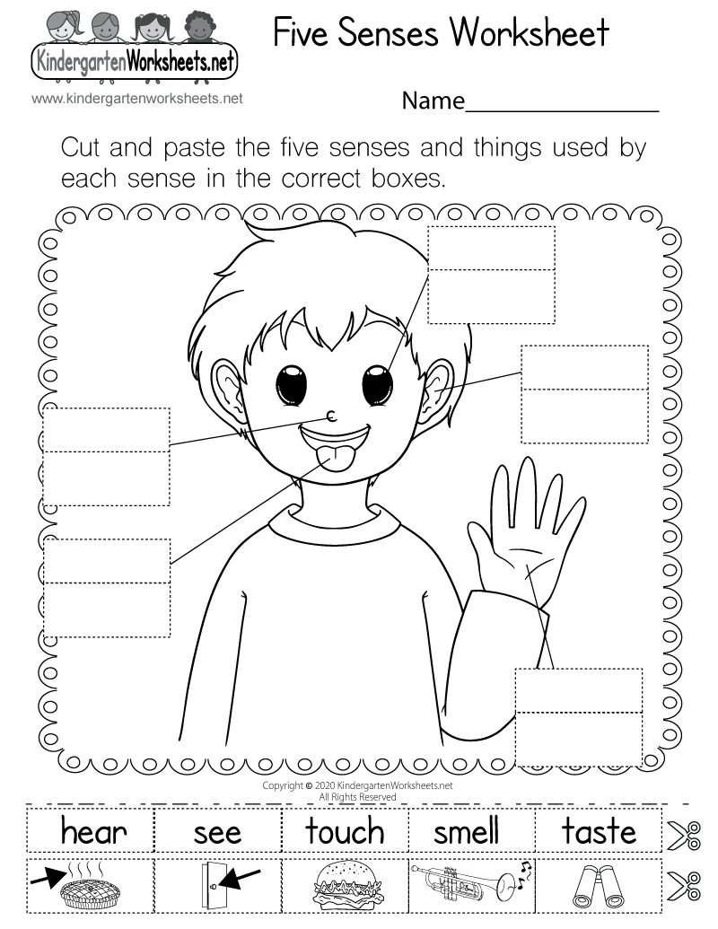 Five Senses Worksheet Free Printable PDF