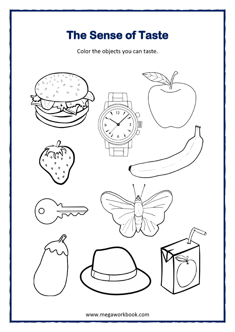 Five Senses Worksheets For Preschool And Kindergarten MegaWorkbook