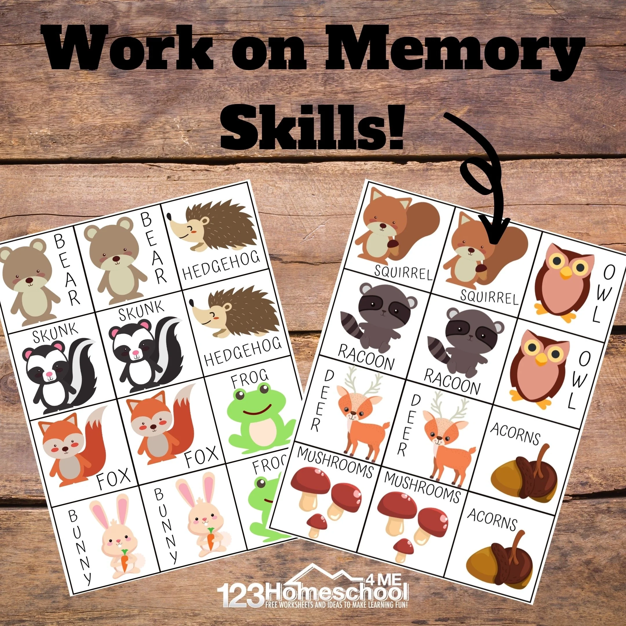 FREE Animal Matching Game FREE Animal Matching Game