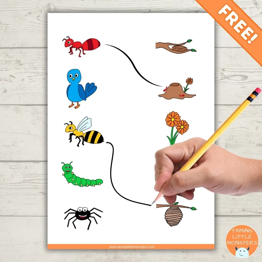 Free Garden Animal Home Matching Game Taming Little Monsters