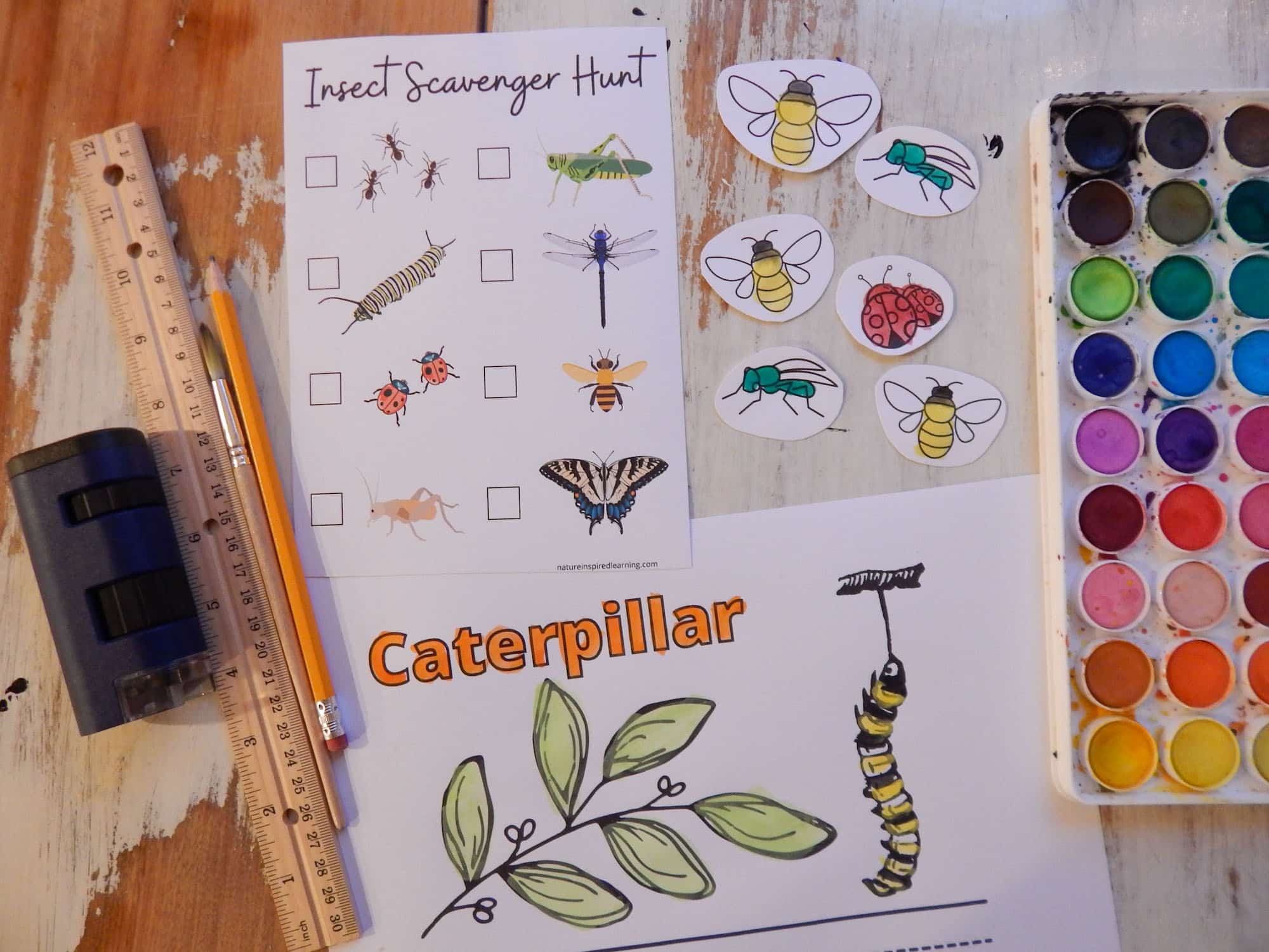 Free Insect Printables And Activities For Kids Nature Inspired Free Insect Printables And Activities For Kids Nature Inspired