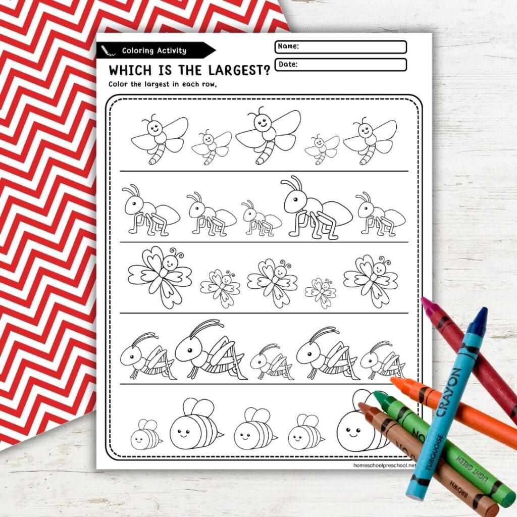 Free Insect Worksheets For Preschool Fun Bug Activities Free Insect Worksheets For Preschool Fun Bug Activities