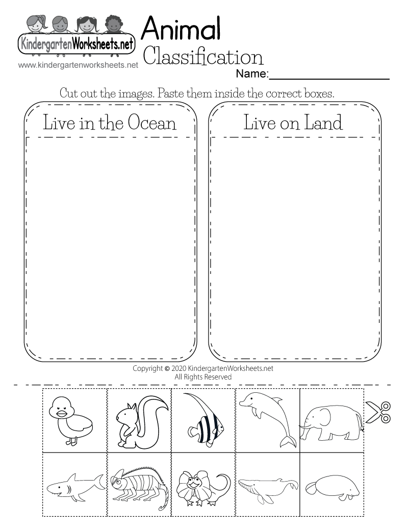 FREE Preschool Science Worksheets And Printables Worksheets Library FREE Preschool Science Worksheets And Printables Worksheets Library