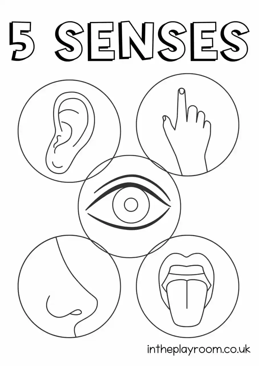 Free Printable 5 Senses Coloring Pages For Kids In The Playroom