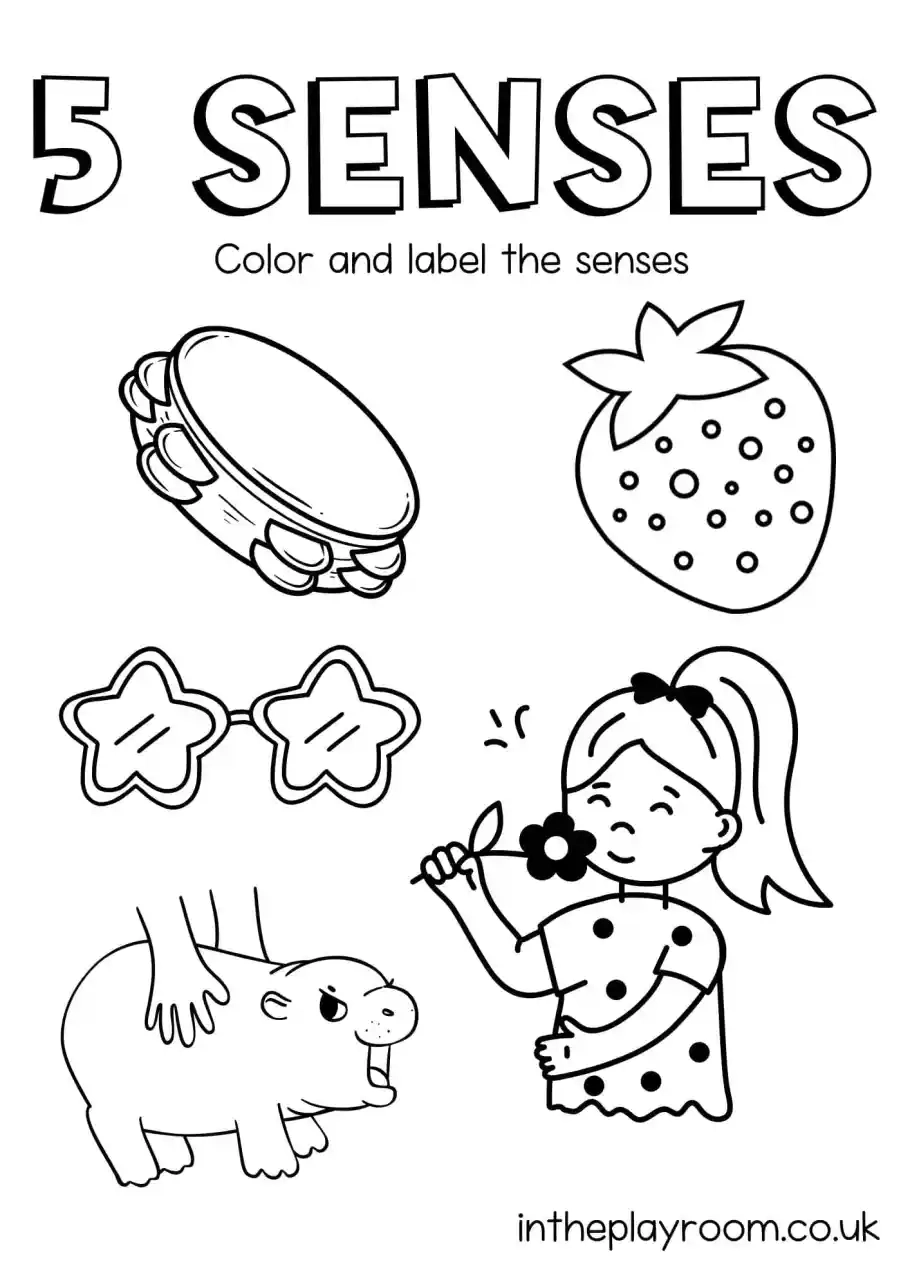 Free Printable 5 Senses Coloring Pages For Kids In The Playroom