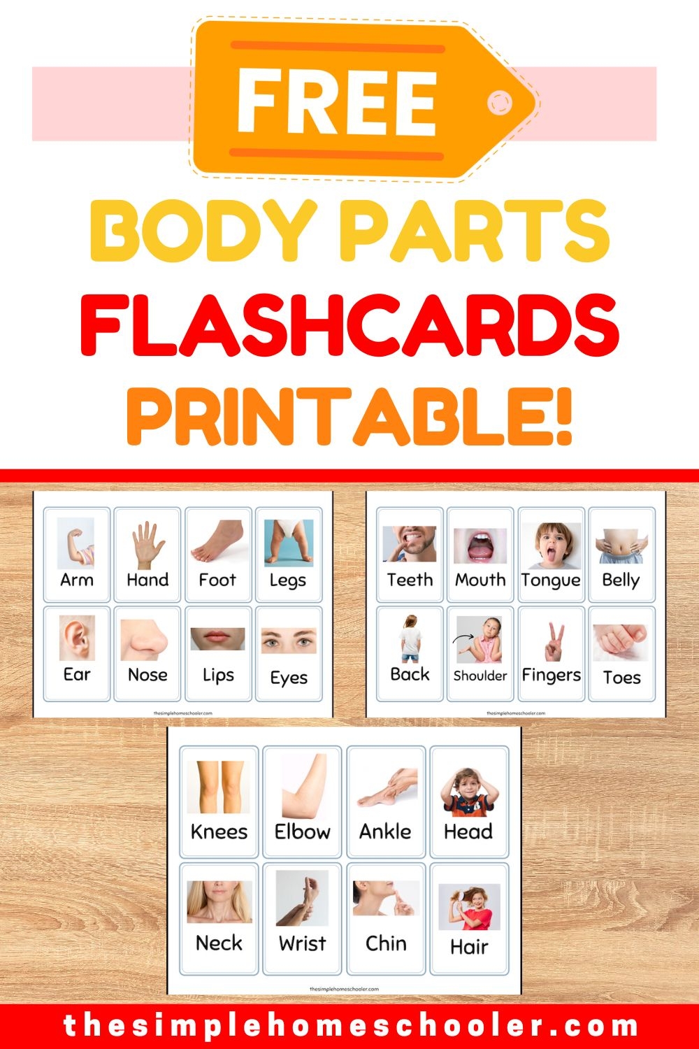 Free Printable Body Parts Flashcards For Kids The Simple Homeschooler Free Printable Body Parts Flashcards For Kids The Simple Homeschooler