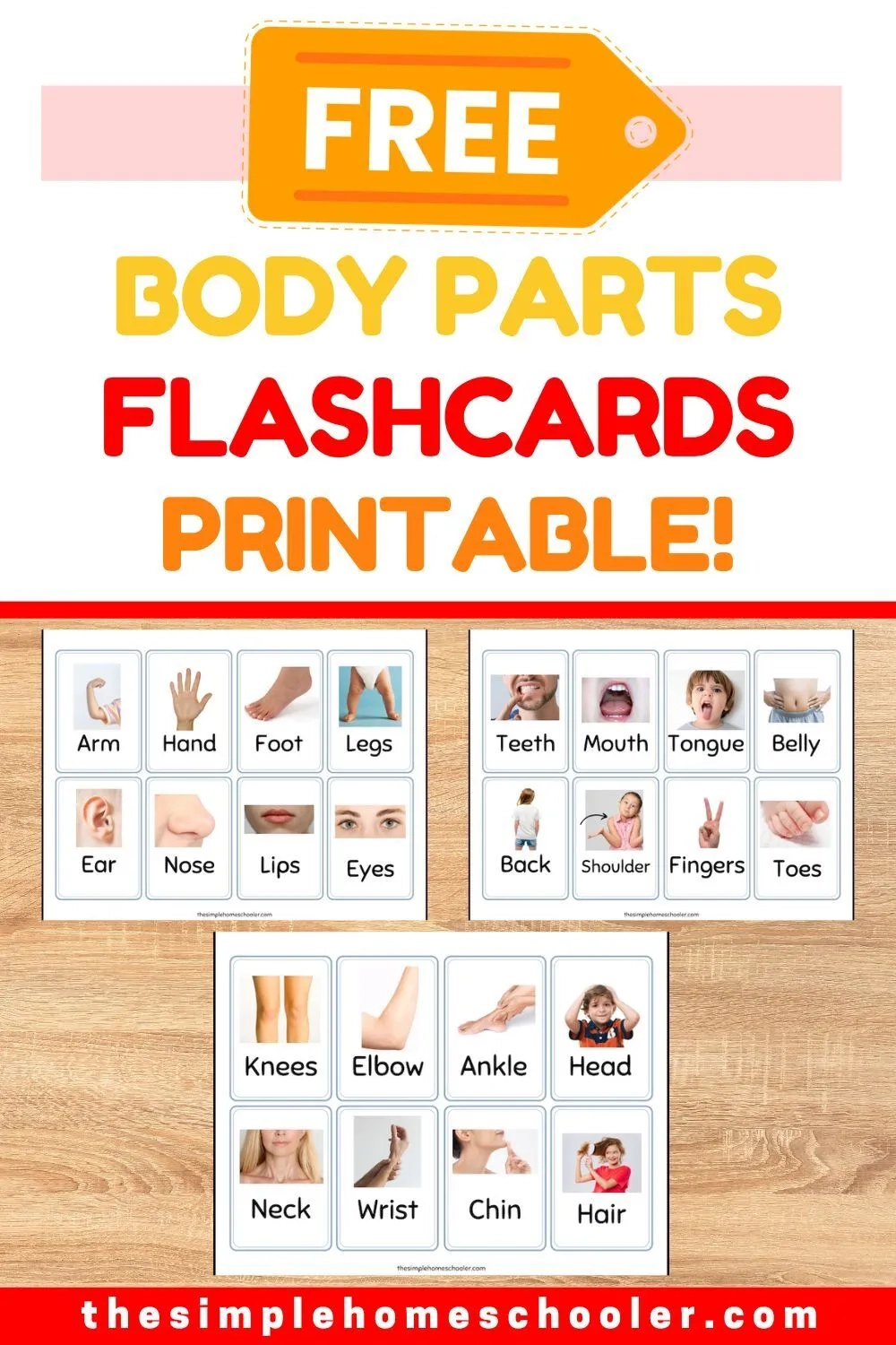 Free Printable Body Parts Flashcards For Kids The Simple Homeschooler Free Printable Body Parts Flashcards For Kids The Simple Homeschooler