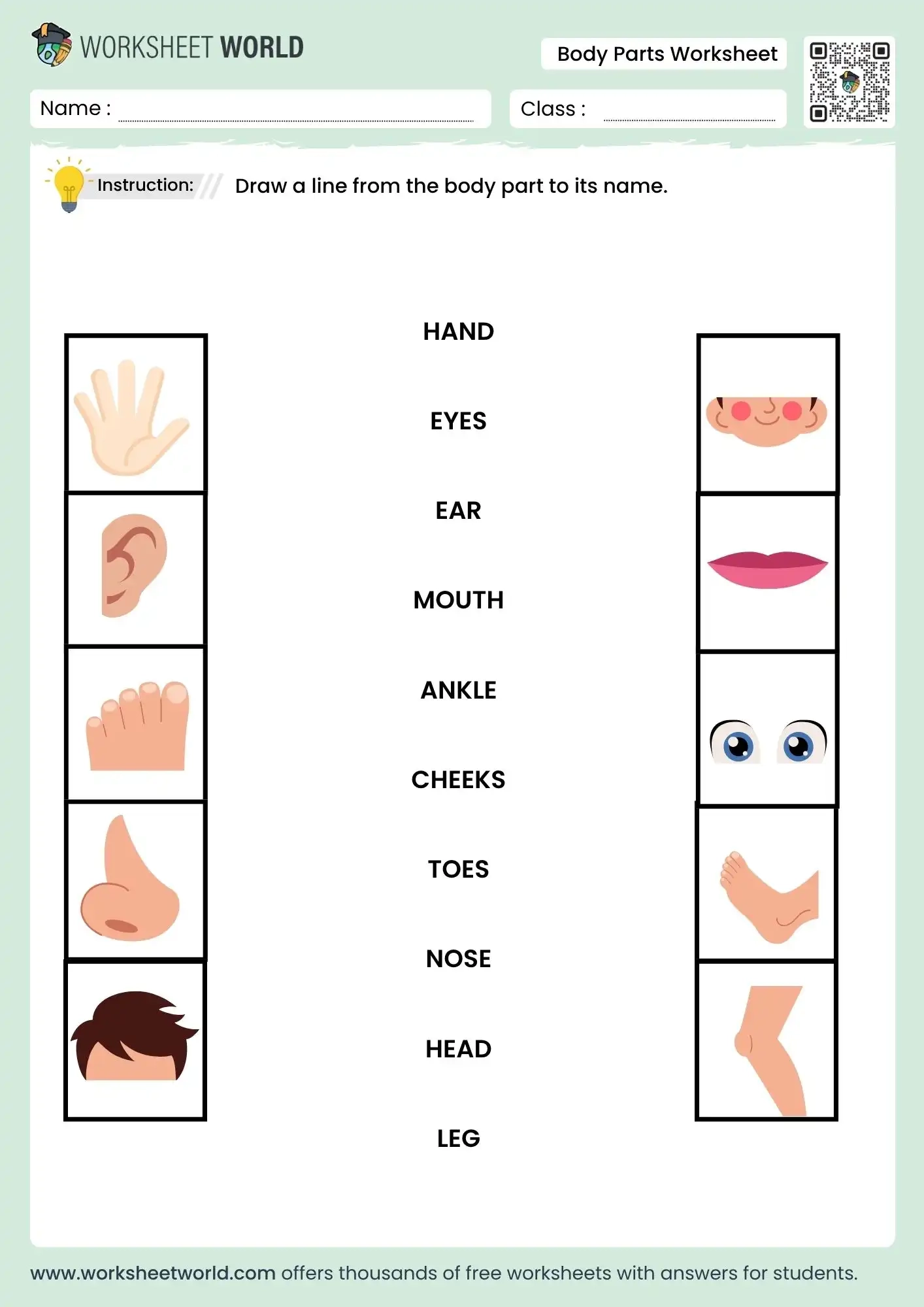 Free Printable Body Parts Matching Worksheet For Nursery LKG And UKG Worksheet World