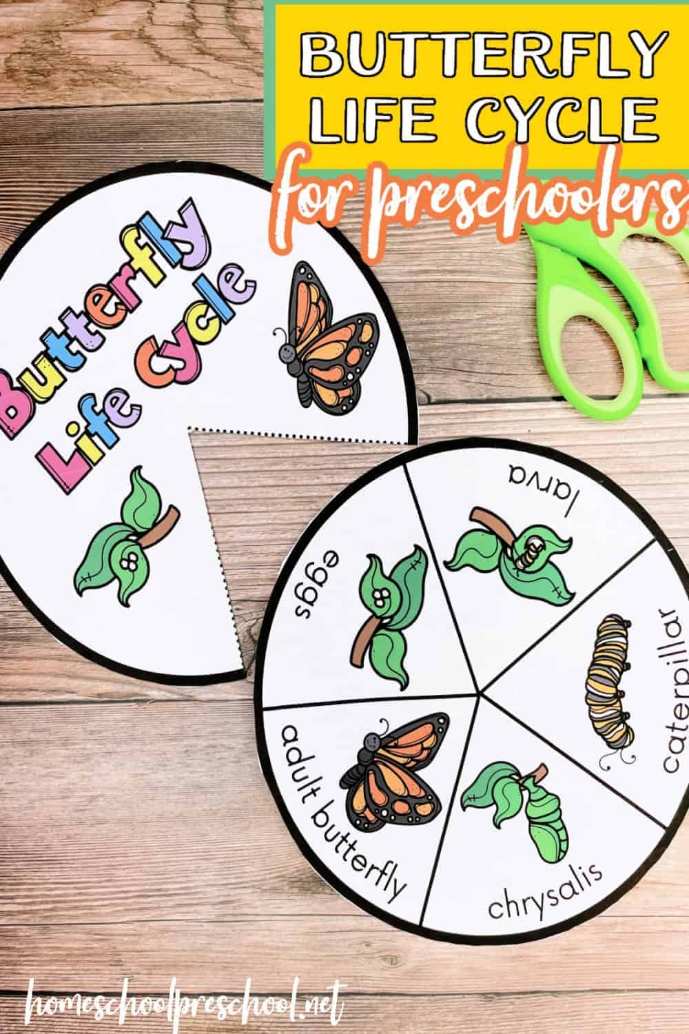 Free Printable Butterfly Life Cycle Wheel Free Printable Butterfly Life Cycle Wheel