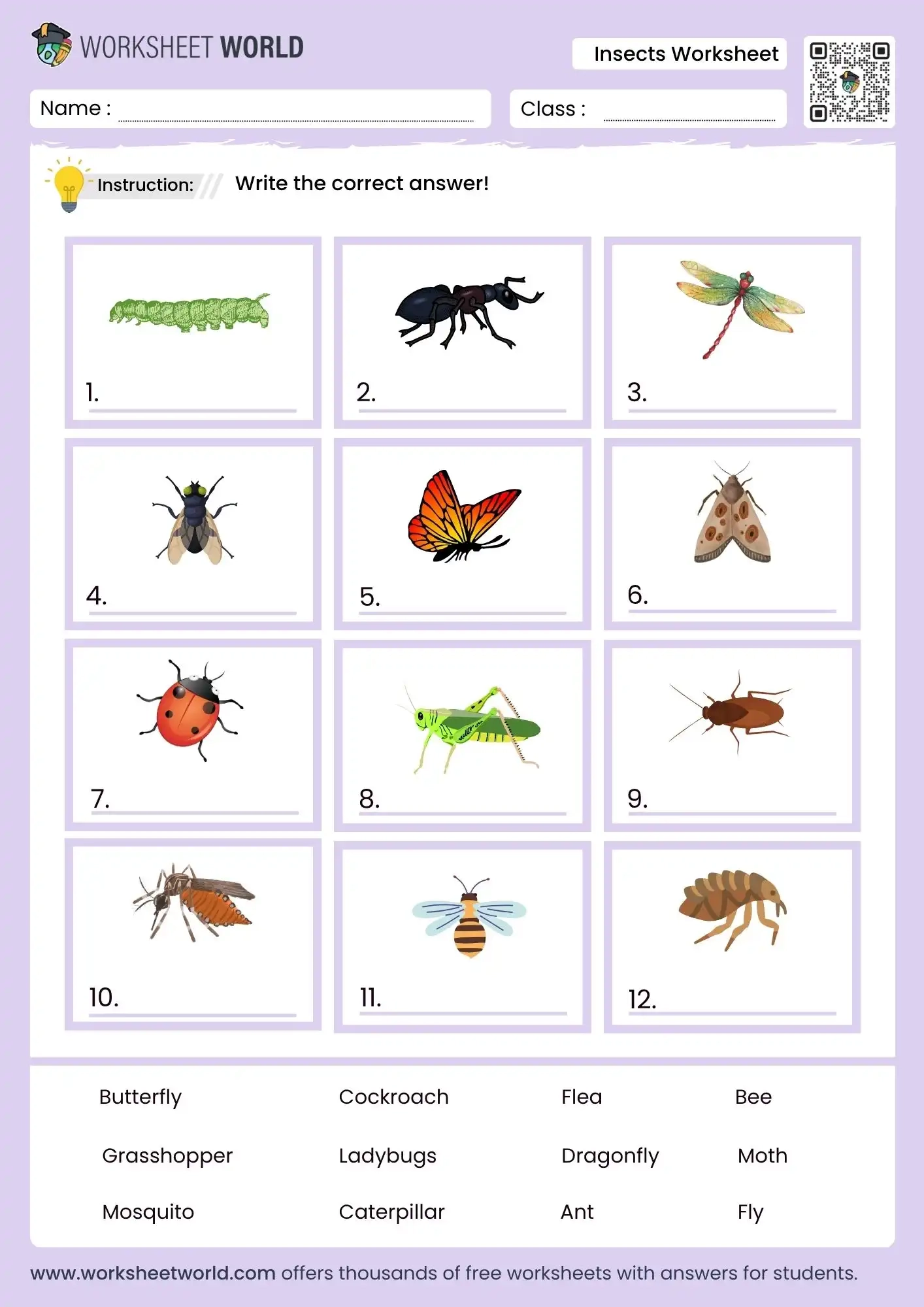 Free Printable Insects Worksheet For Grade 1 To Grade 4 Worksheet World