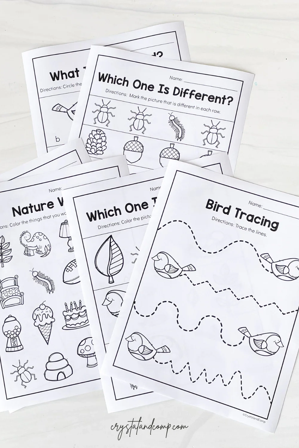 Free Printable Nature Worksheets CrystalandComp
