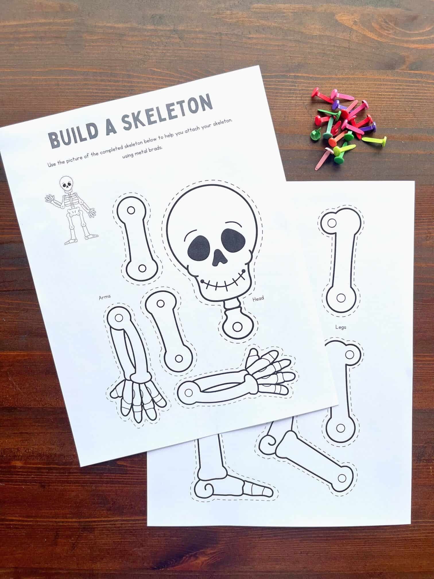 Free Printable Skeleton Craft The Artisan Life
