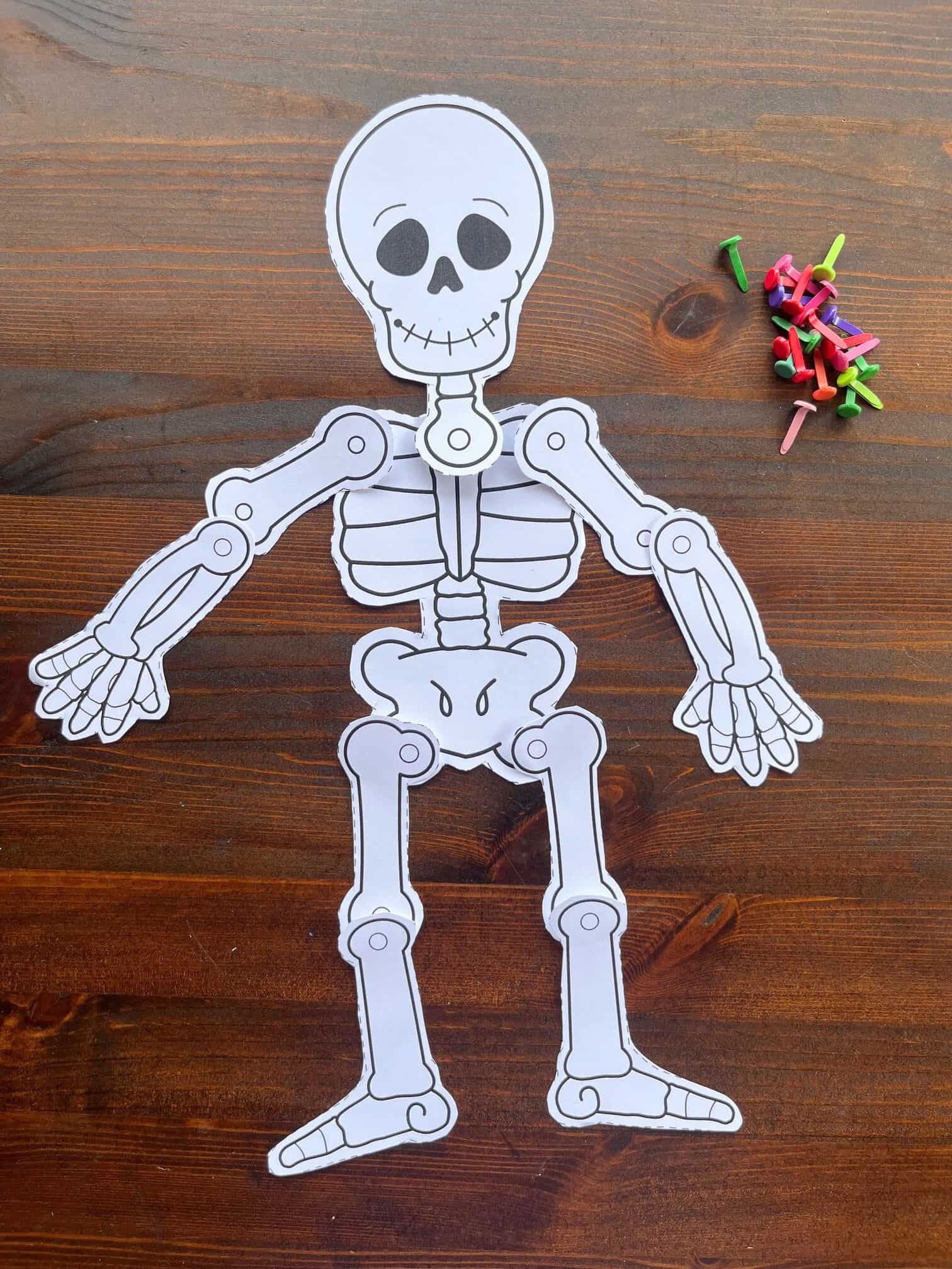 Free Printable Skeleton Craft The Artisan Life