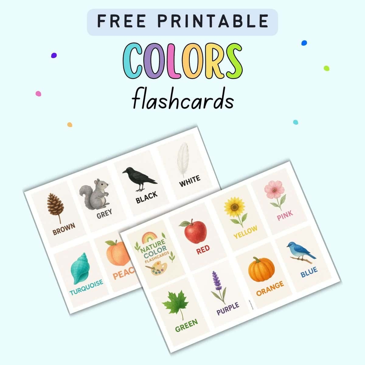 Free Printable Watercolor Nature Color Flashcards The Artisan Life