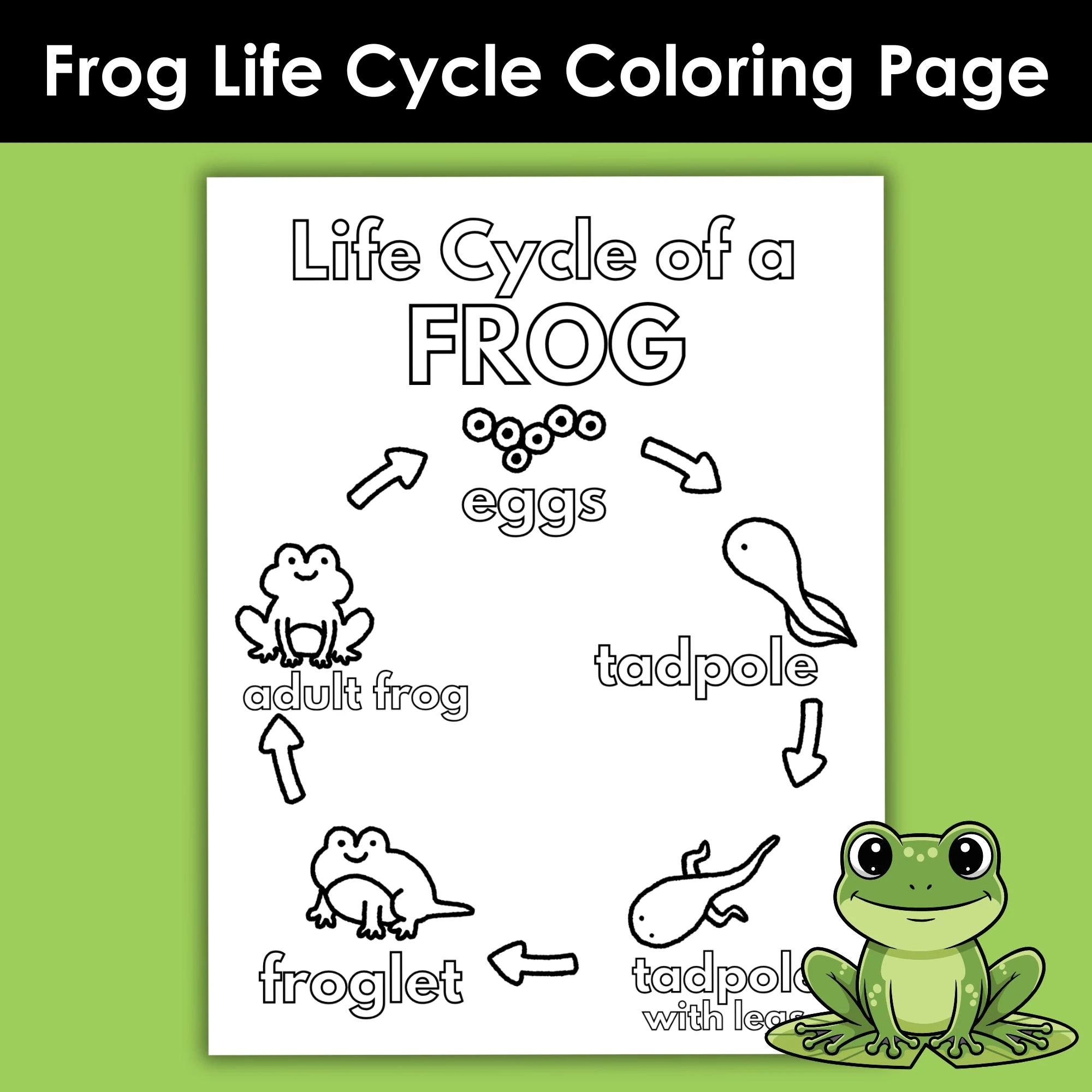 Frog Life Cycle Coloring Page Printable Amphibian Metamorphosis Worksheet Science Unit Study Preschool Kindergarten Classroom Activity Etsy Frog Life Cycle Coloring Page Printable Amphibian Metamorphosis Worksheet Science Unit Study Preschool Kindergarten Classroom Activity Etsy