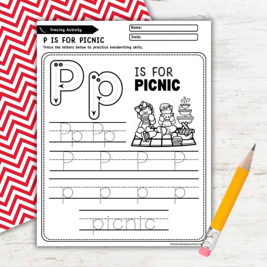 Fun Educational Picnic Worksheets For Preschool