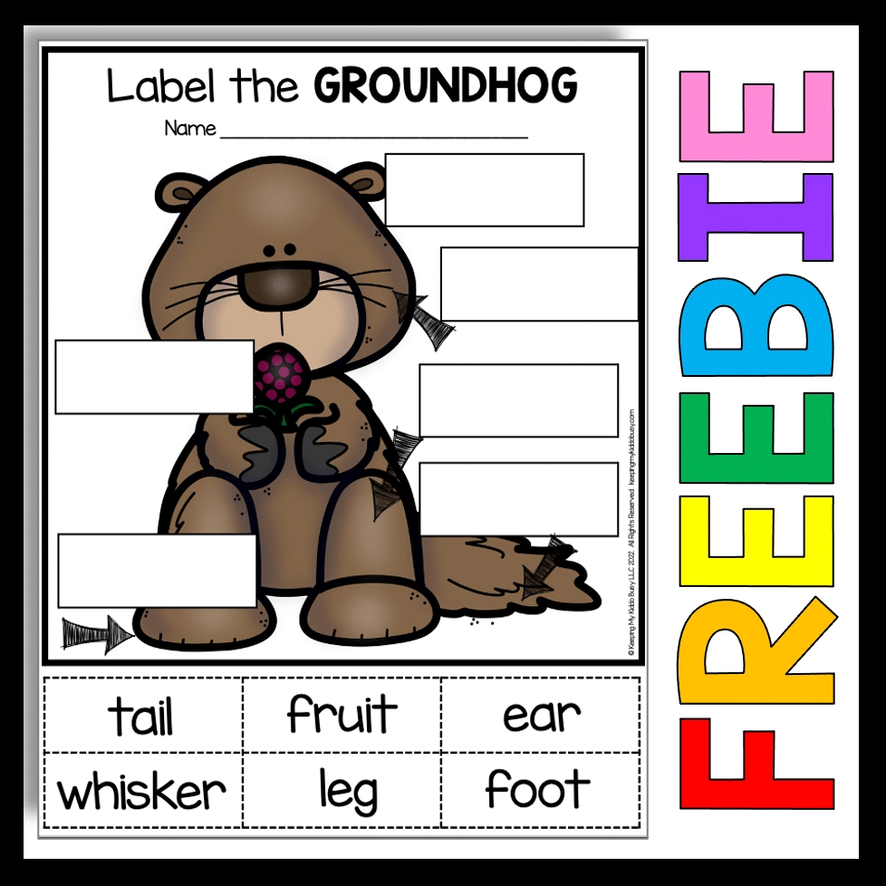 Groundhog Day In Kindergarten And First Grade FREEBIE Keeping My Kiddo Busy