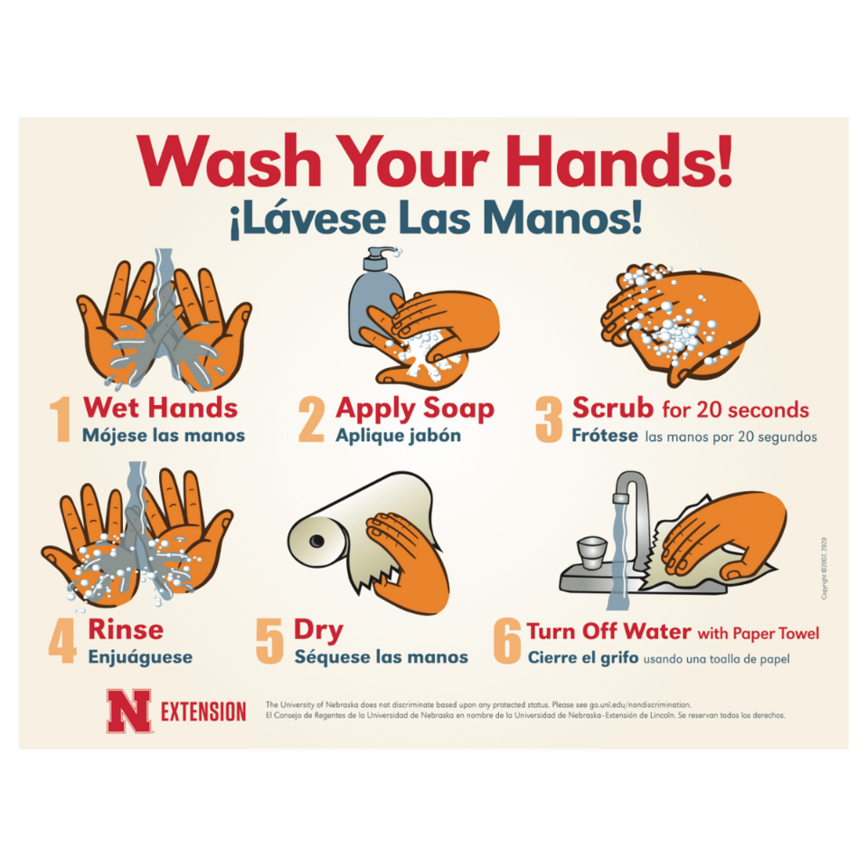 Handwashing Posters UNL Food Nebraska