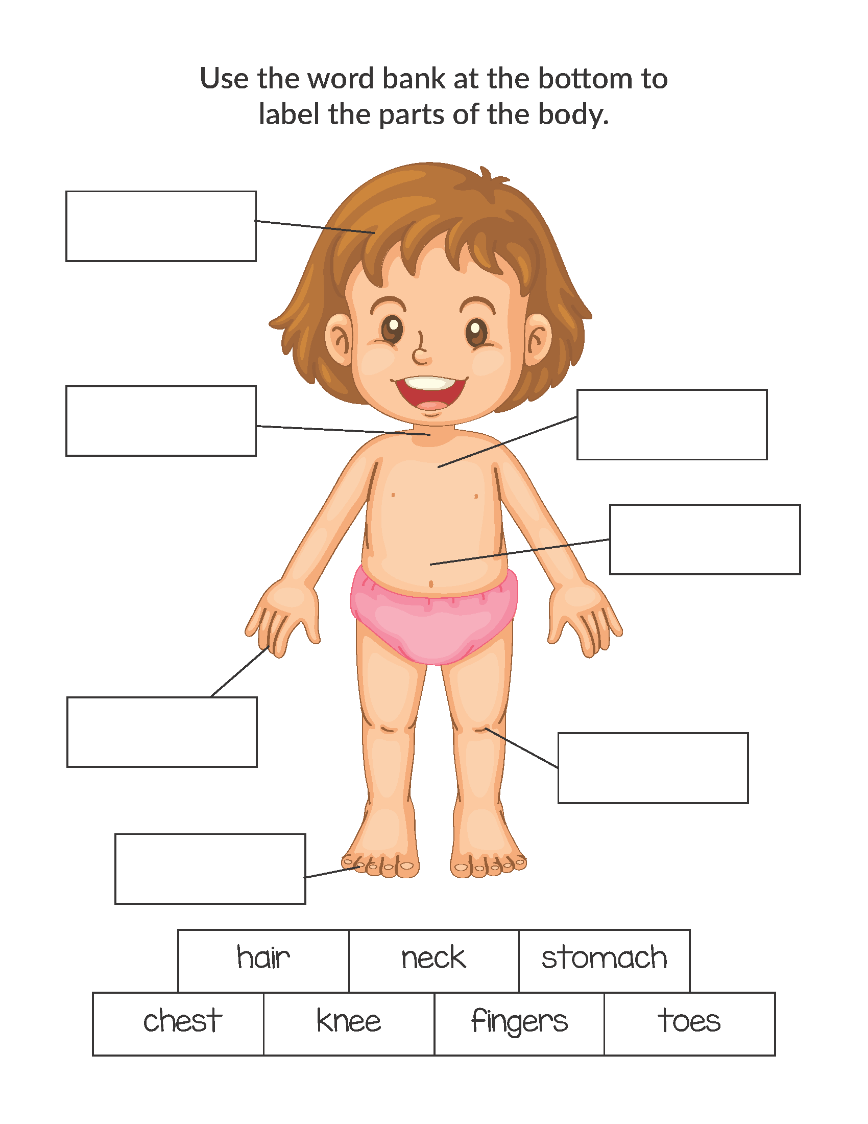 Human Body Printables Bundle Gift Of Curiosity