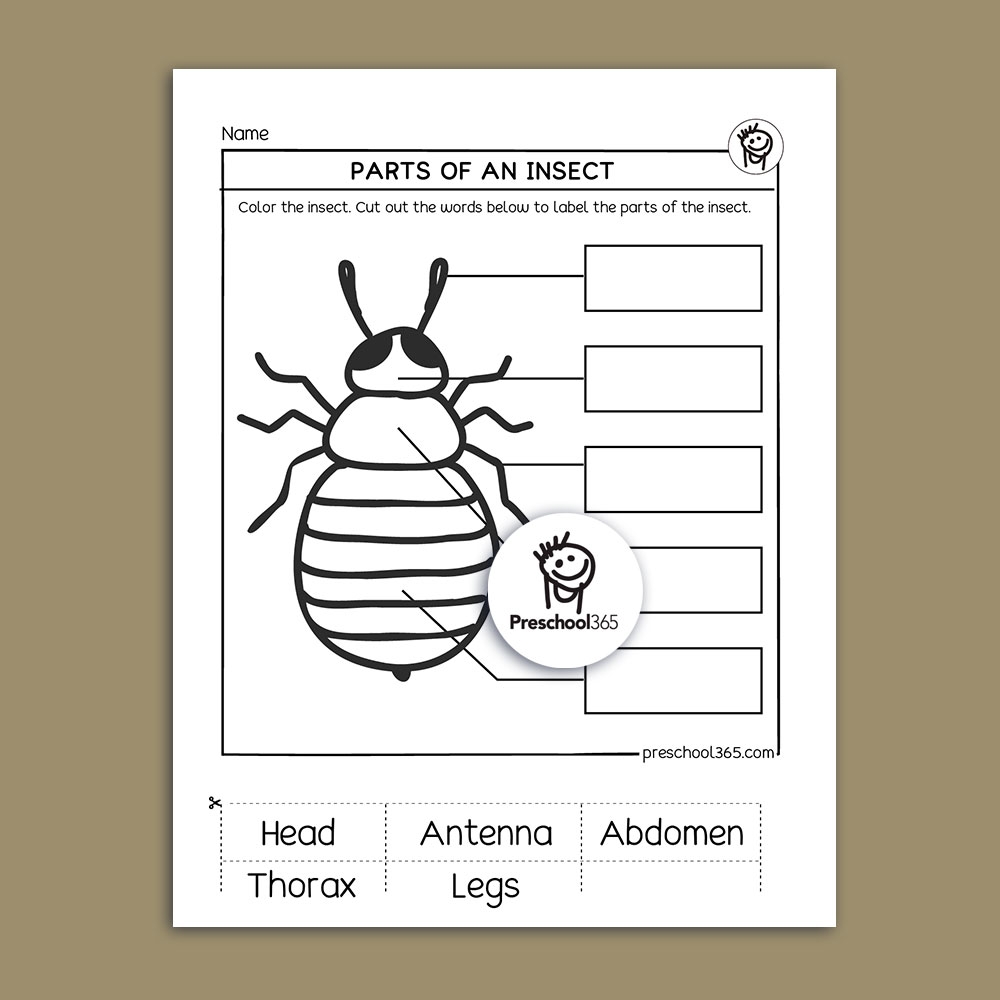 I See A Bug Science Activity Packet 14pages Great Packet For Insects