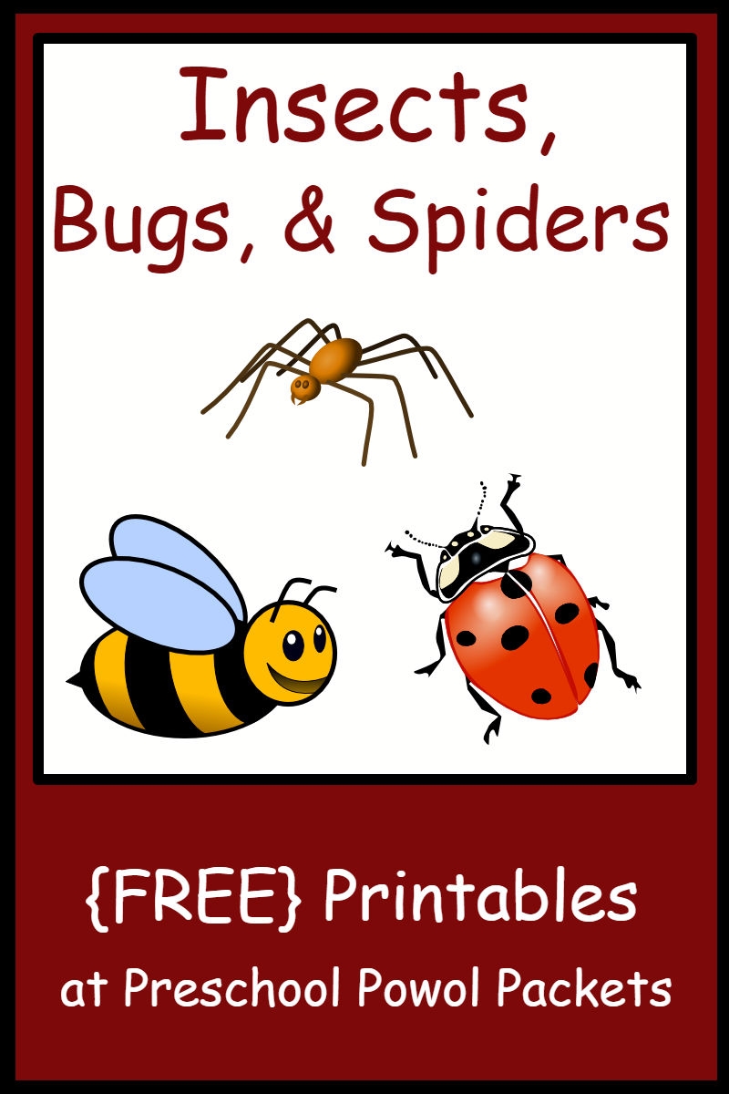 Insect Bug Spider Themed FREE Preschool Printables Insect Bug Spider Themed FREE Preschool Printables