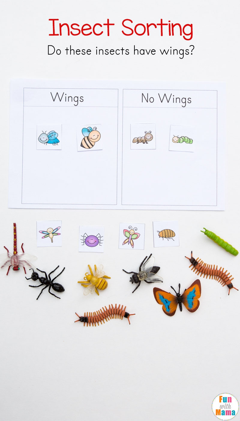 Insect Bugs Printable Activity Pack For Preschoolers Fun With Mama Shop Insect Bugs Printable Activity Pack For Preschoolers Fun With Mama Shop