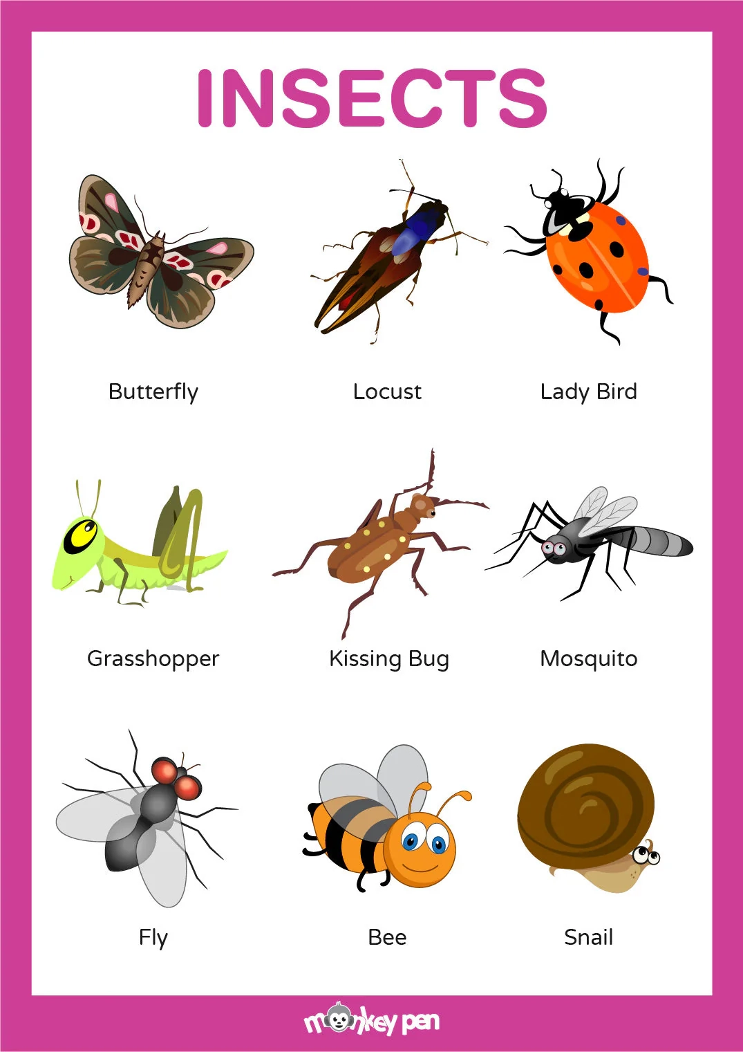Insects Poster Free Printable For Kids Learning