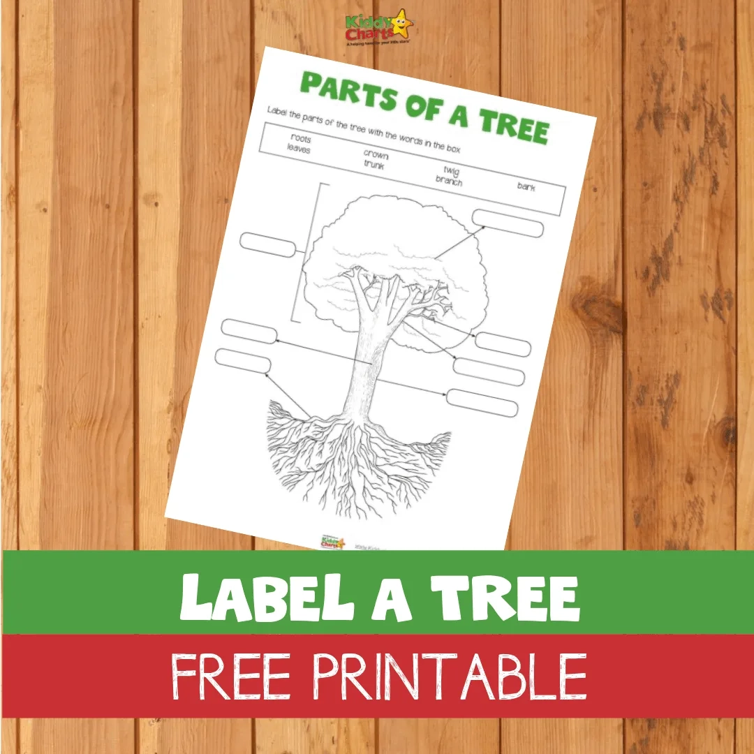 Label A Tree Free Printable KiddyCharts Printables Label A Tree Free Printable KiddyCharts Printables