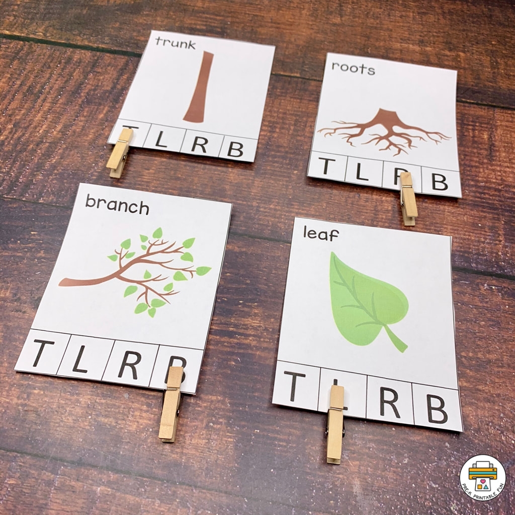 Leaves Trees Activity Pack Pre K Printable Fun
