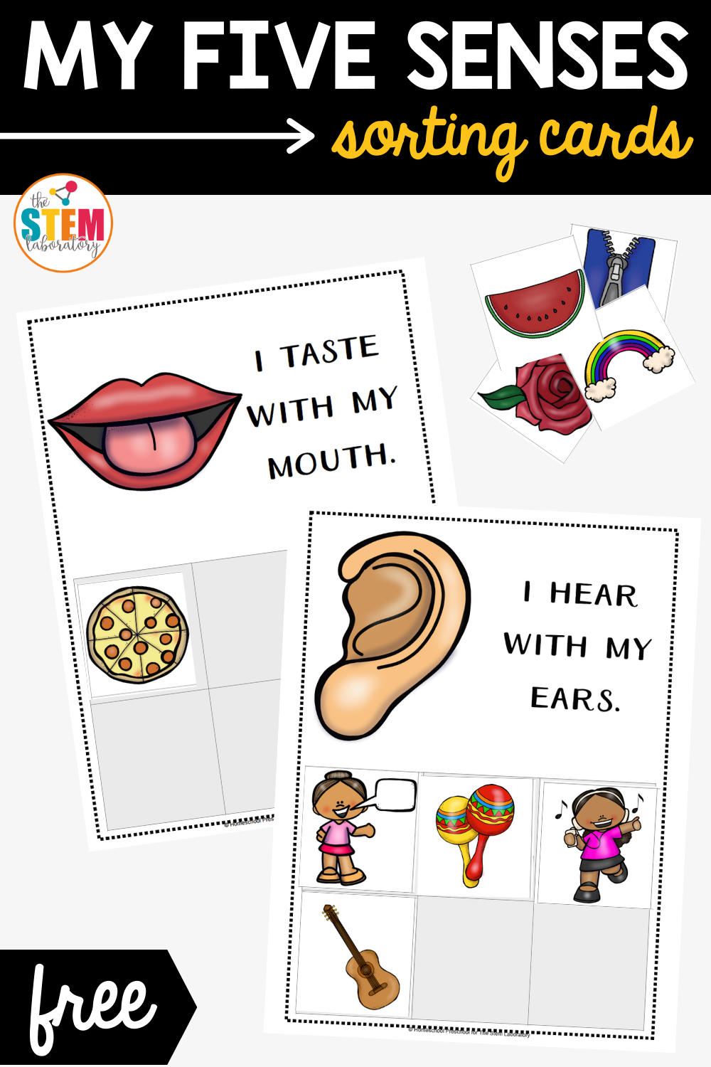 My Five Senses Sorting Cards The Stem Laboratory My Five Senses Sorting Cards The Stem Laboratory