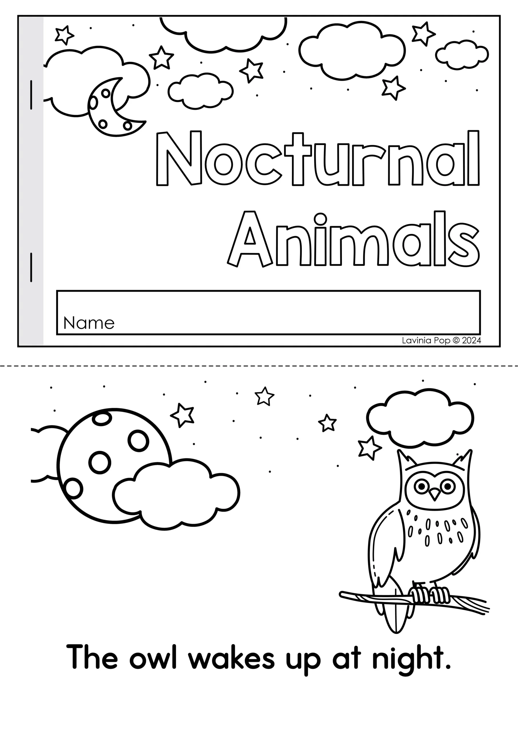 Nocturnal Animals Preschool Circle Time Plan