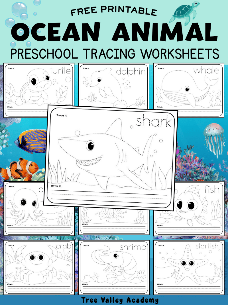 Ocean Animal Tracing Worksheets For Preschool Ocean Animal Tracing Worksheets For Preschool