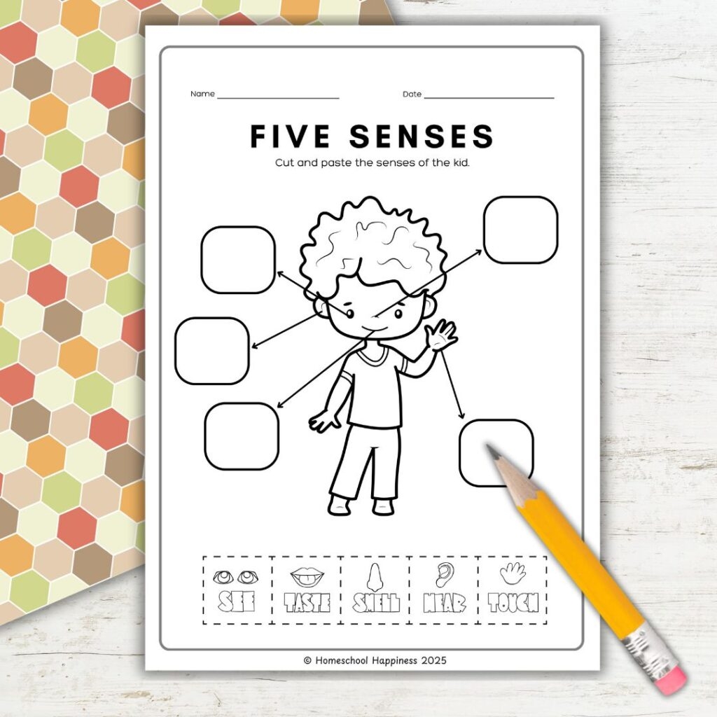 Our 5 Senses Activities For Kids Free Printable Pack