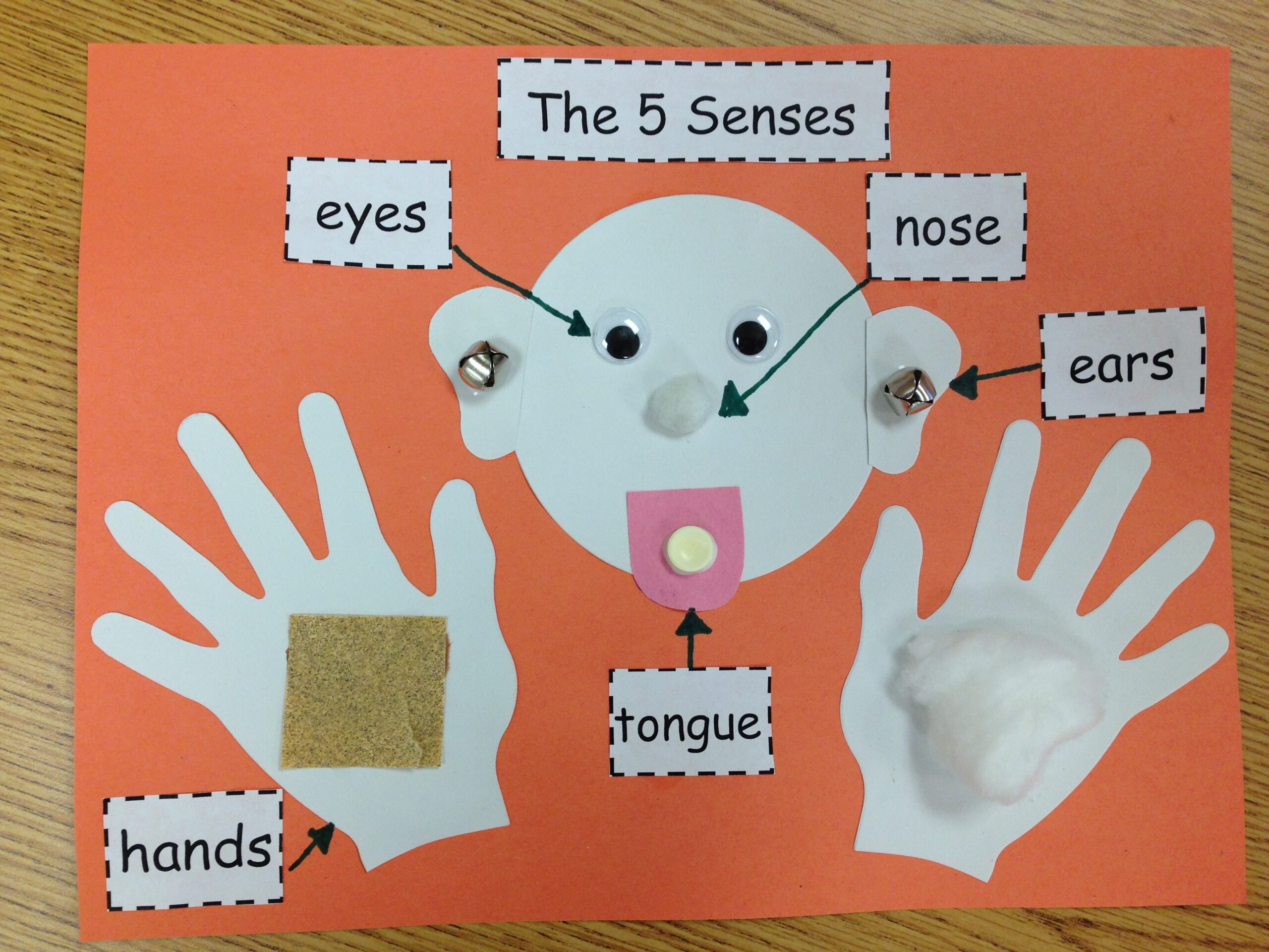 Our Five Senses Craftivity My Very Own Circus Our Five Senses Craftivity My Very Own Circus